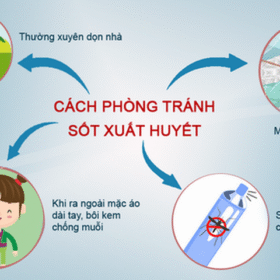 Cách Phòng Bệnh Sốt Xuất Huyết