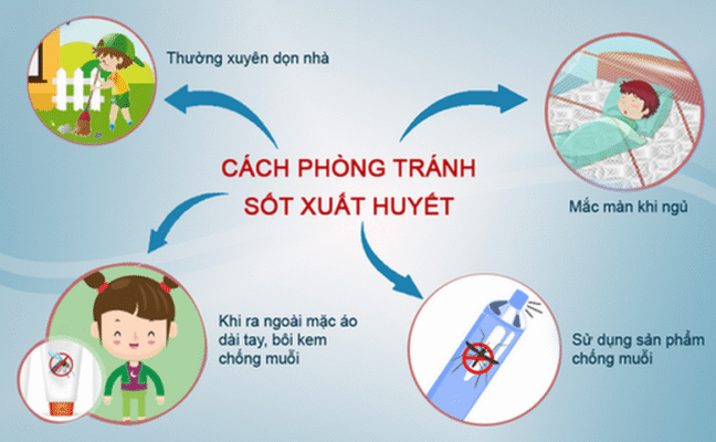 Cách Phòng Bệnh Sốt Xuất Huyết
