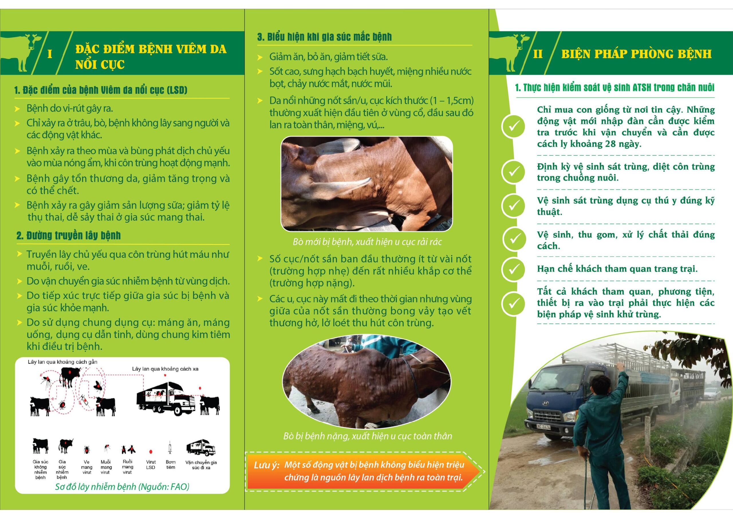 Phòng Chống Viêm Da Nổi Cục Trên Trâu Bò