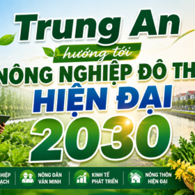 NÔNG NGHIỆP ĐÔ THỊ TRUNG AN